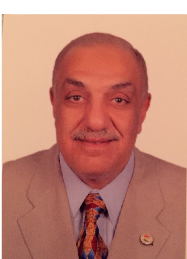 Tarek Mohamed Kamal Motawi